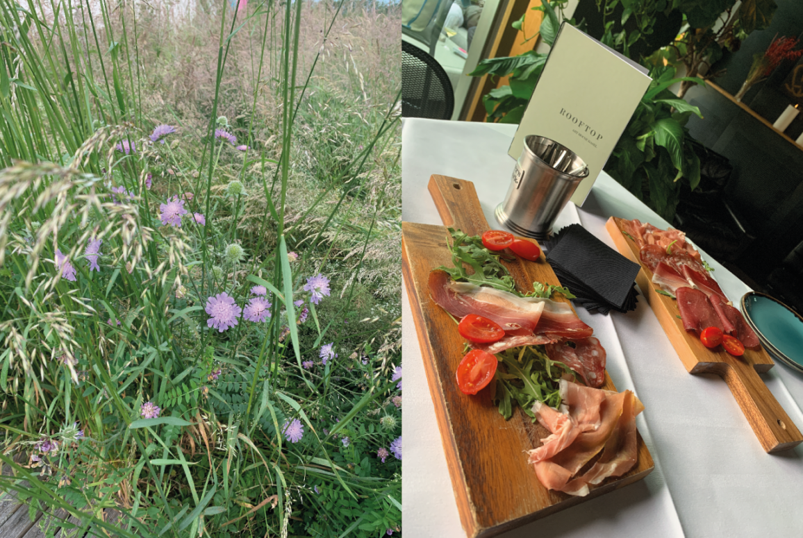 Bildschirmfoto 2023-06-10 um 11.31.18.png