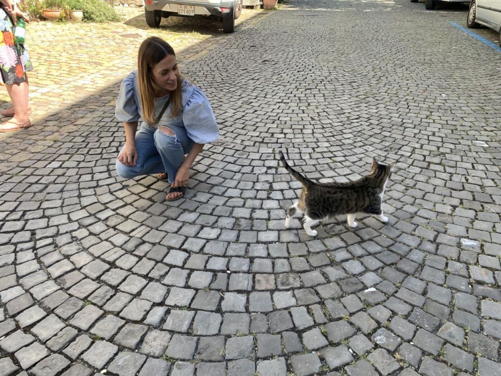 2022-08-13 14.17.08.jpg